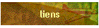 liens